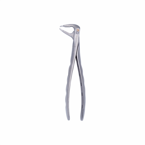 Atraumatic Extraction Forceps: English/Ash - Image 3