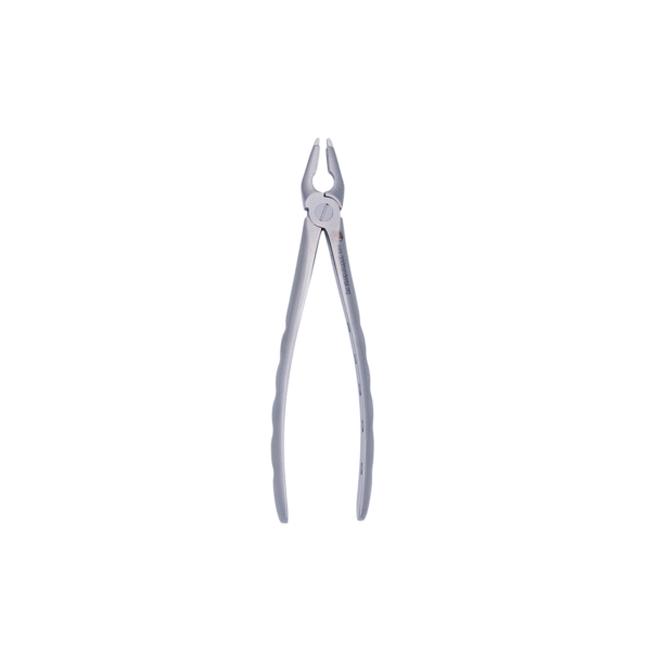 Atraumatic Extraction Forcep: Upper Straight - Image 2