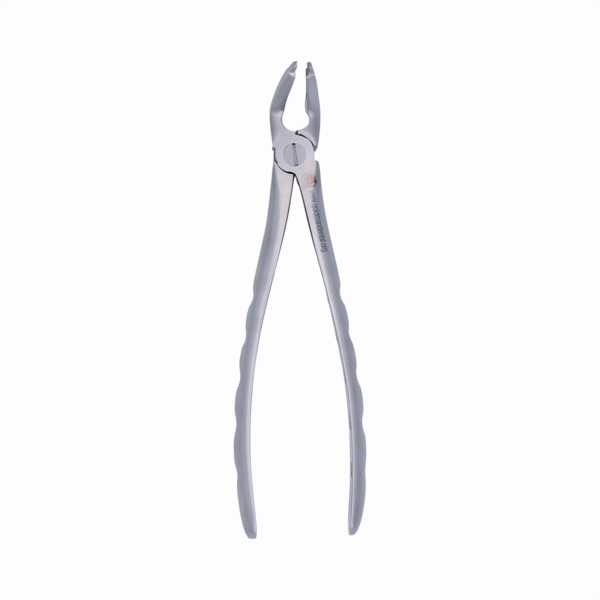 Atraumatic Extraction Forcep: Lower Universal - Image 3
